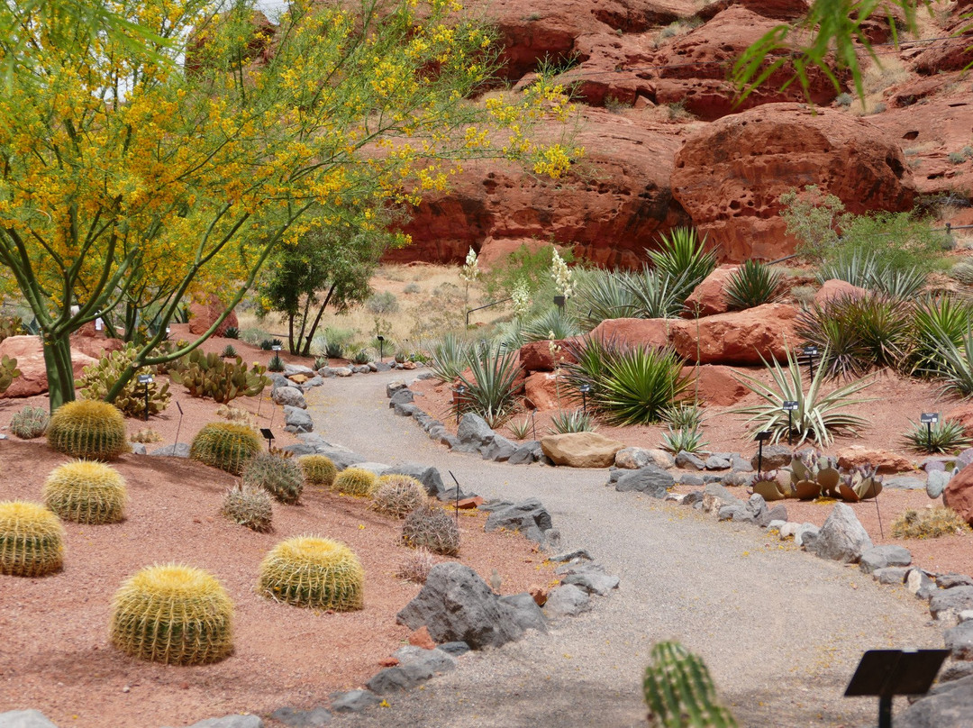 Red Hills Desert Garden-圣乔治必去景点