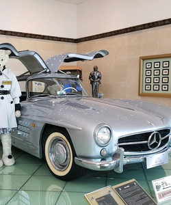 World Automobile Jeju Museum景点门票图片