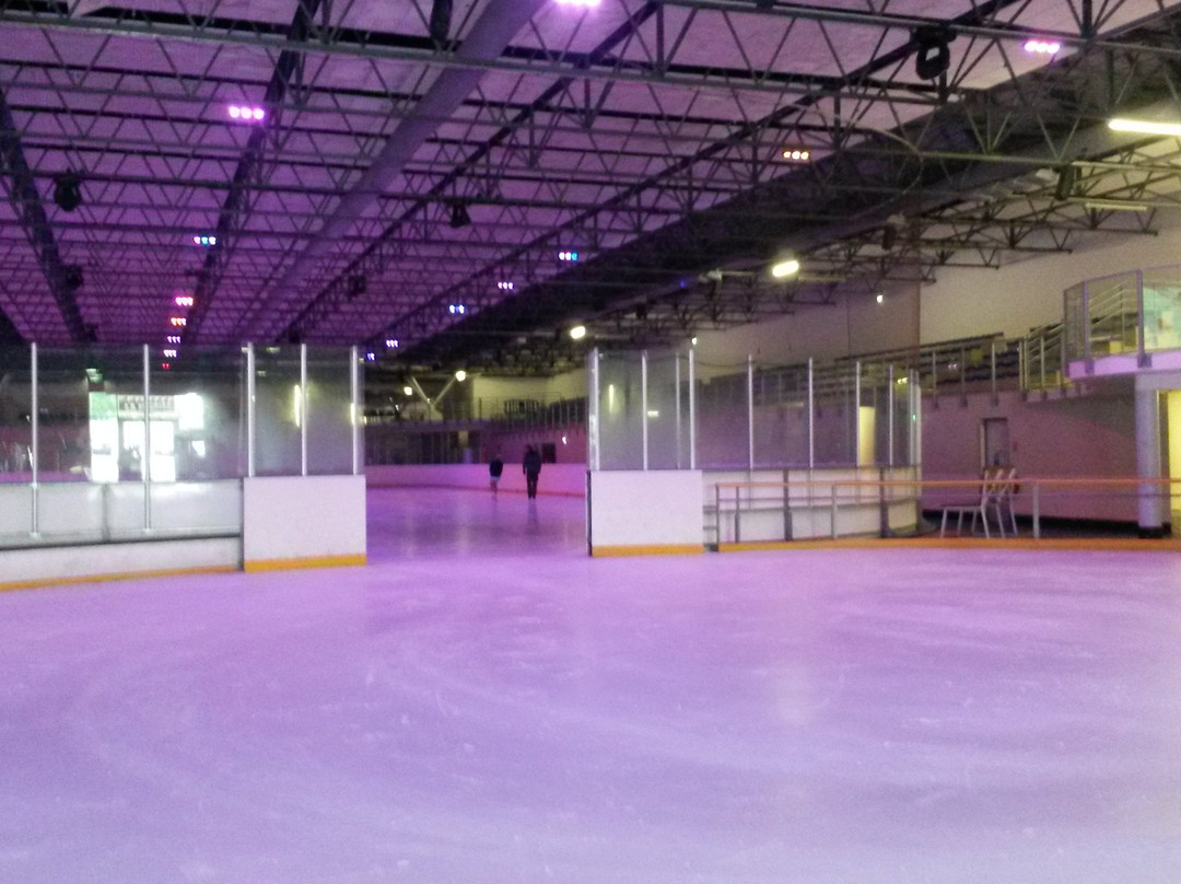 La Patinoire景点图片
