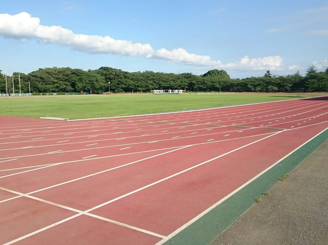 Funabashi City Sports Park景点图片