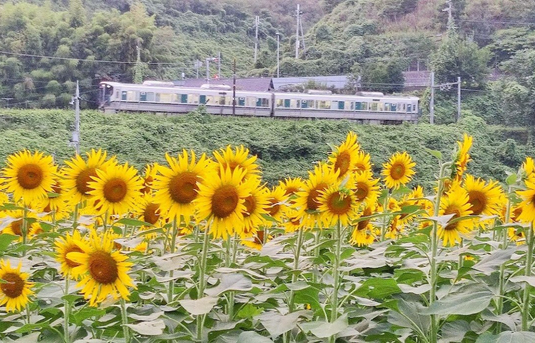 Kozuke Park