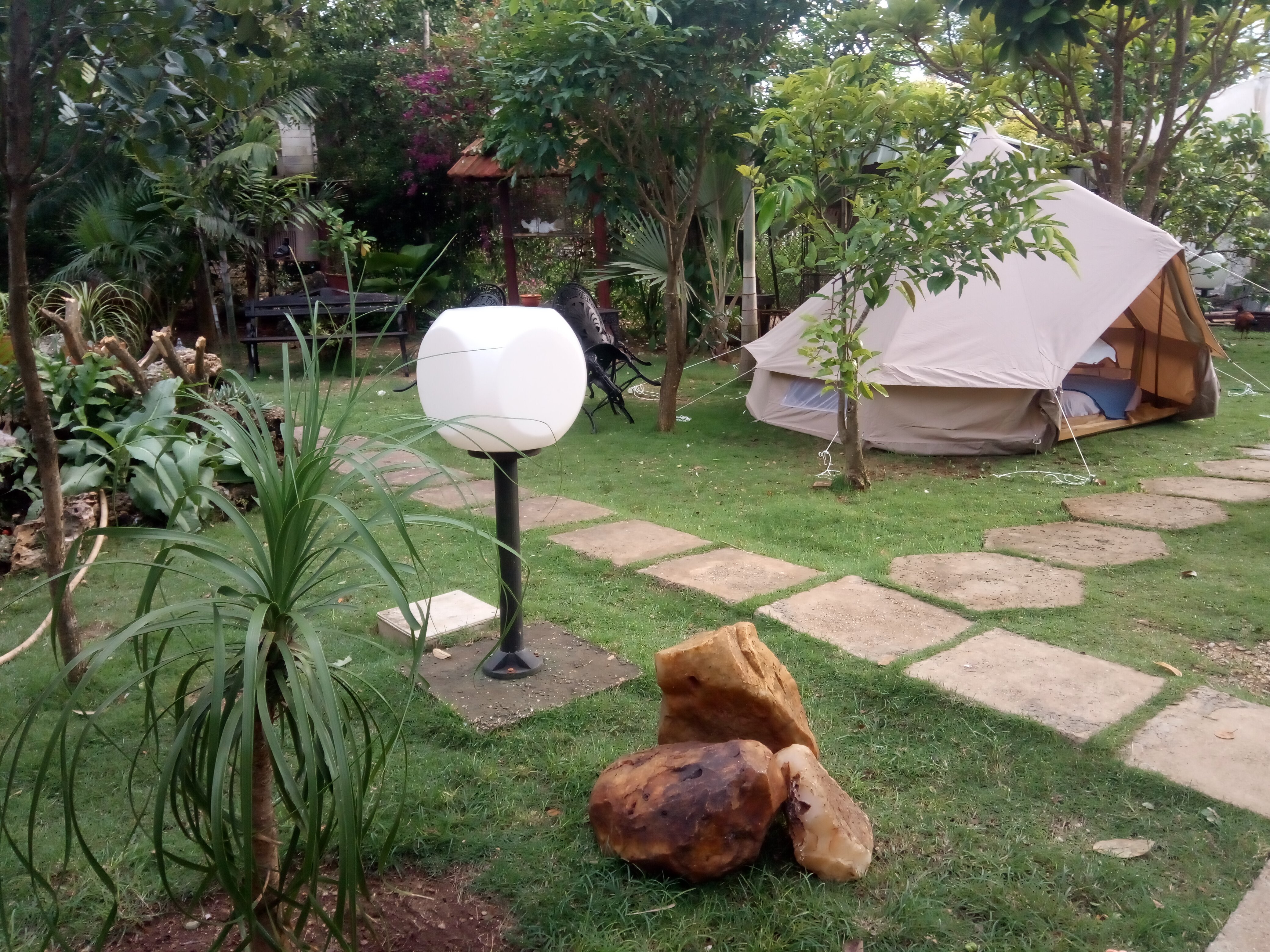 Tu Patio En El Sur-官方