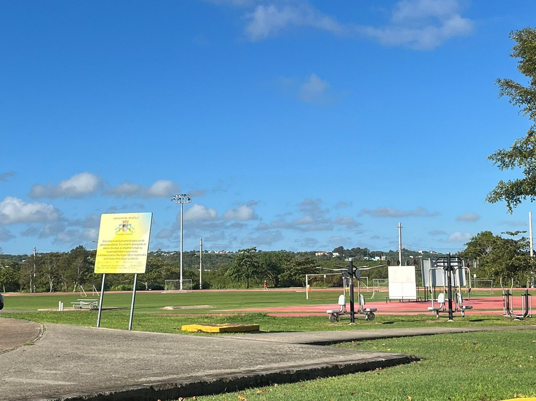 Pista Polideportivo de Hatillo