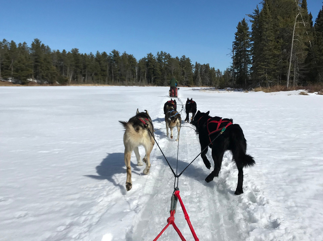 White Wilderness Sled Dog Adventures-伊利必去景点