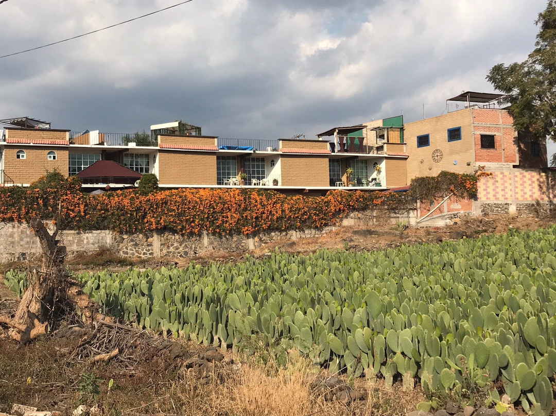 La Casa del Volcan主图