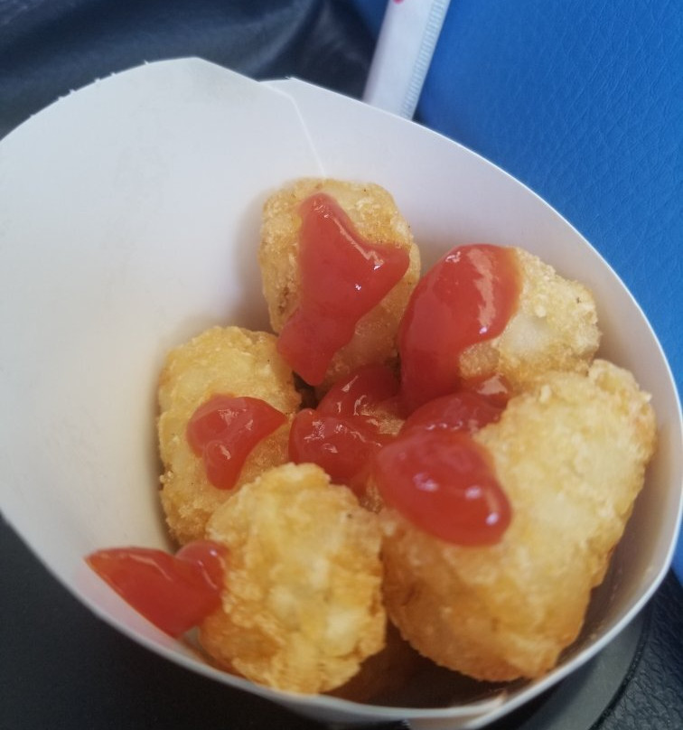 Early旅游攻略图片