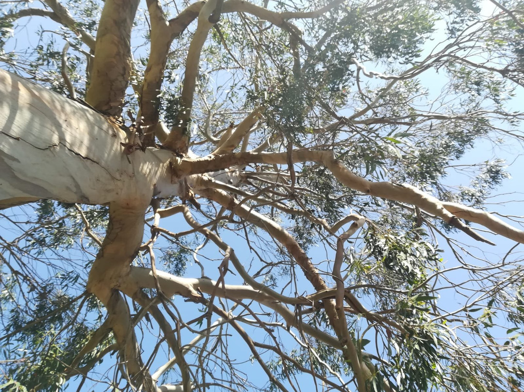 Fervenza de Brañas-Toques必去景点