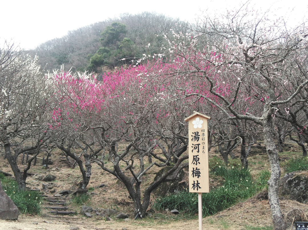 Yugawara Bairin-汤河原町必去景点