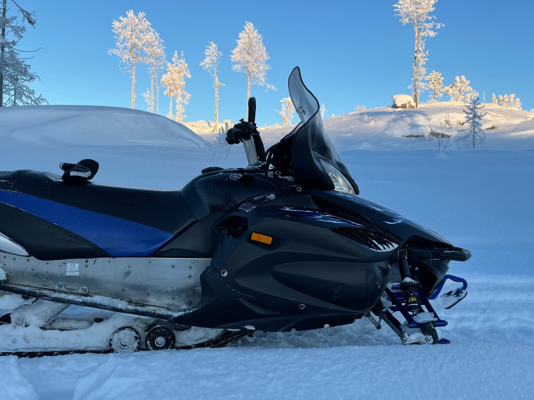 Jämtland Fishing Adventure景点图片