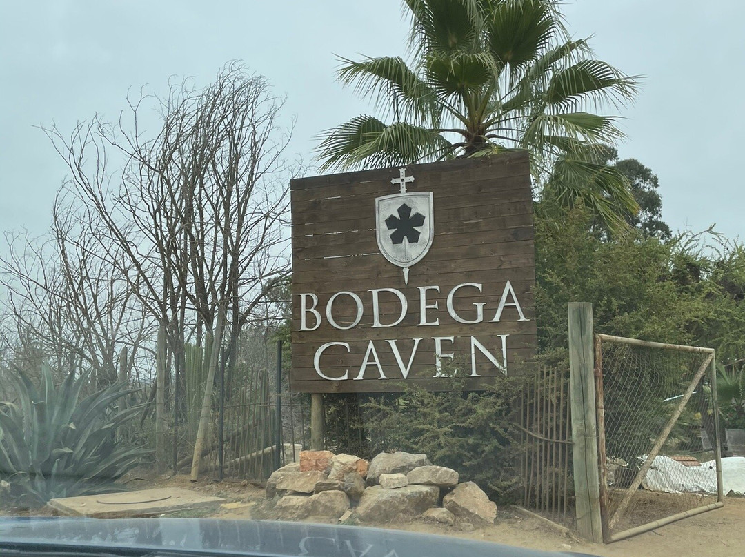 Bodega Caven景点图片