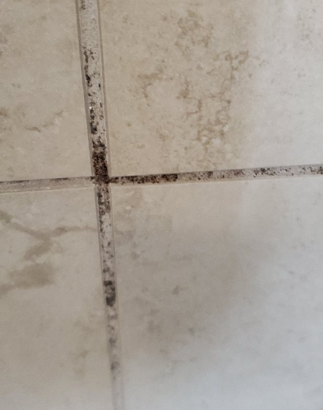 Granbury 拉昆塔旅馆及套房酒店主图