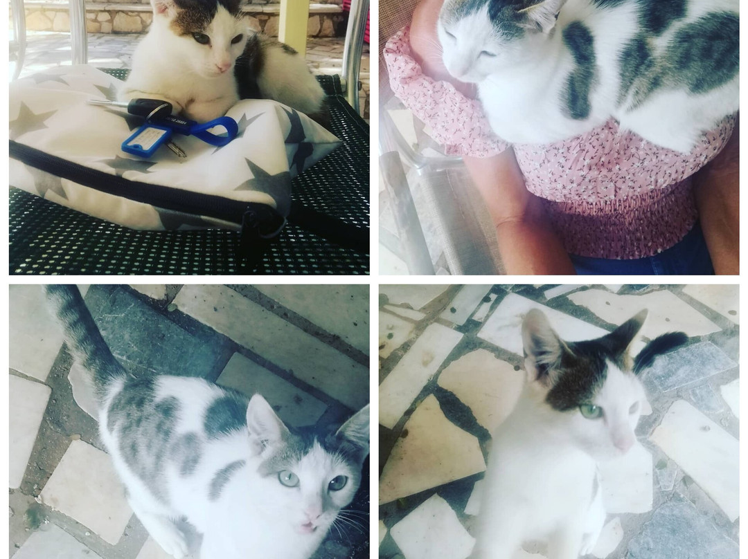 Drogarati Cave-Chaliotata必去景点