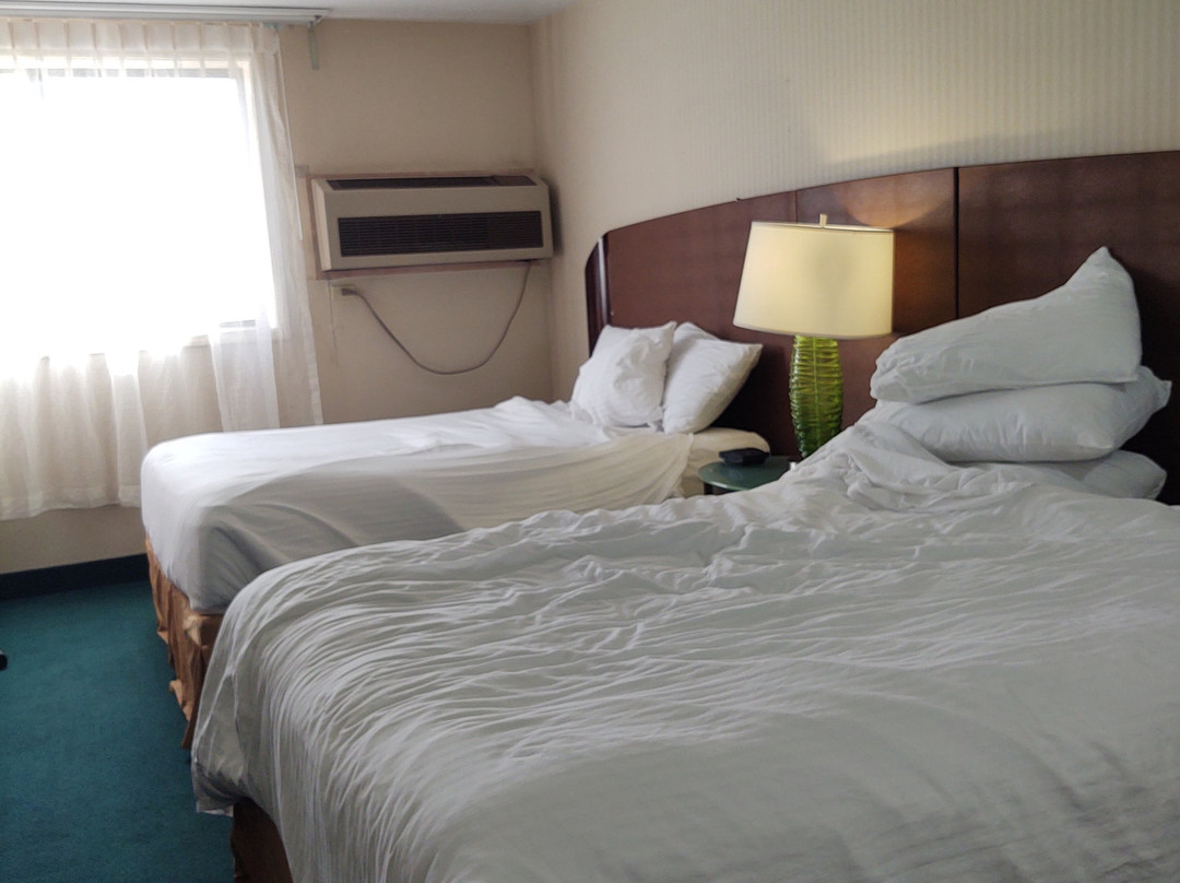 Rogue Regency Inn & Suites主图