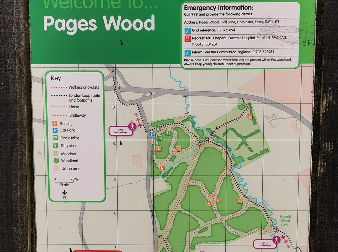 Pages Wood景点图片