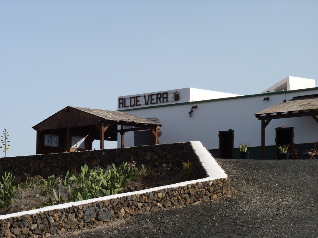 Finca Canarias Aloe Vera景点图片