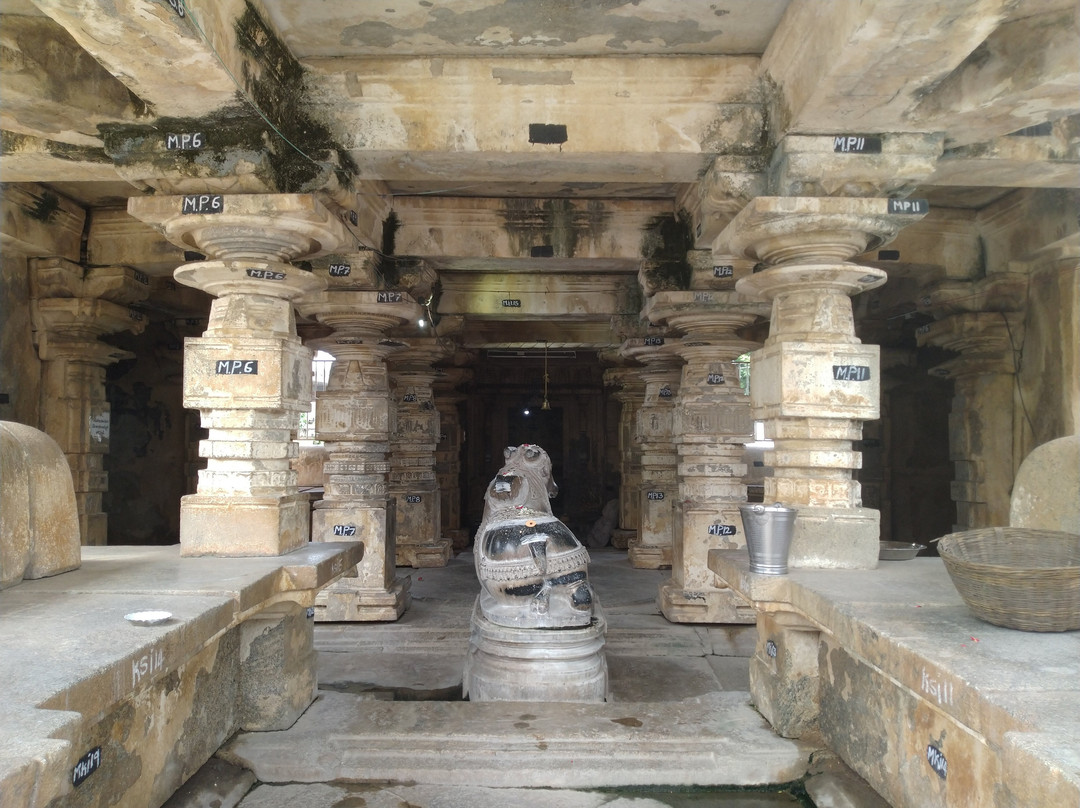 Pillalamarri Shiva Temple景点图片