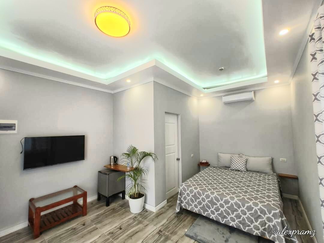 Palm View Apartelle-官方