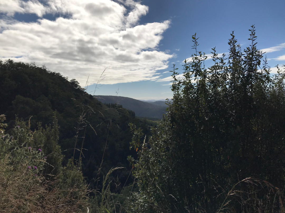 Mersey Valley Drivers Road Lookout