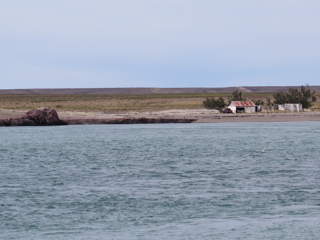 Reserva natural Provincial Ria Deseado景点图片