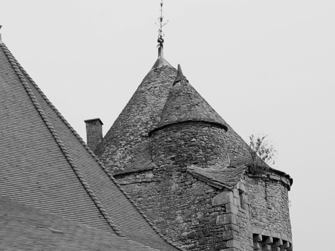 Tour De La Motte-forte景点图片