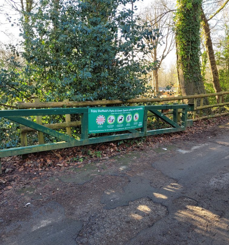 Ecclesall Woods-谢菲尔德必去景点