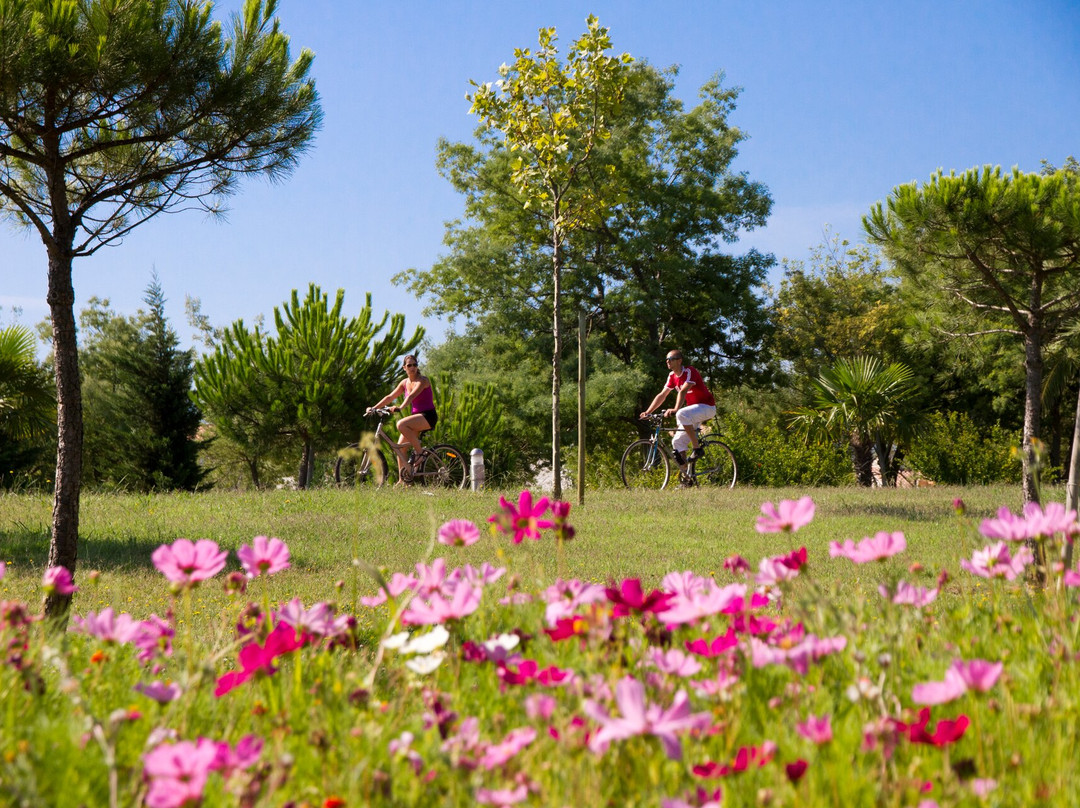 Parc De La Prade-Saint-Cyprien必去景点