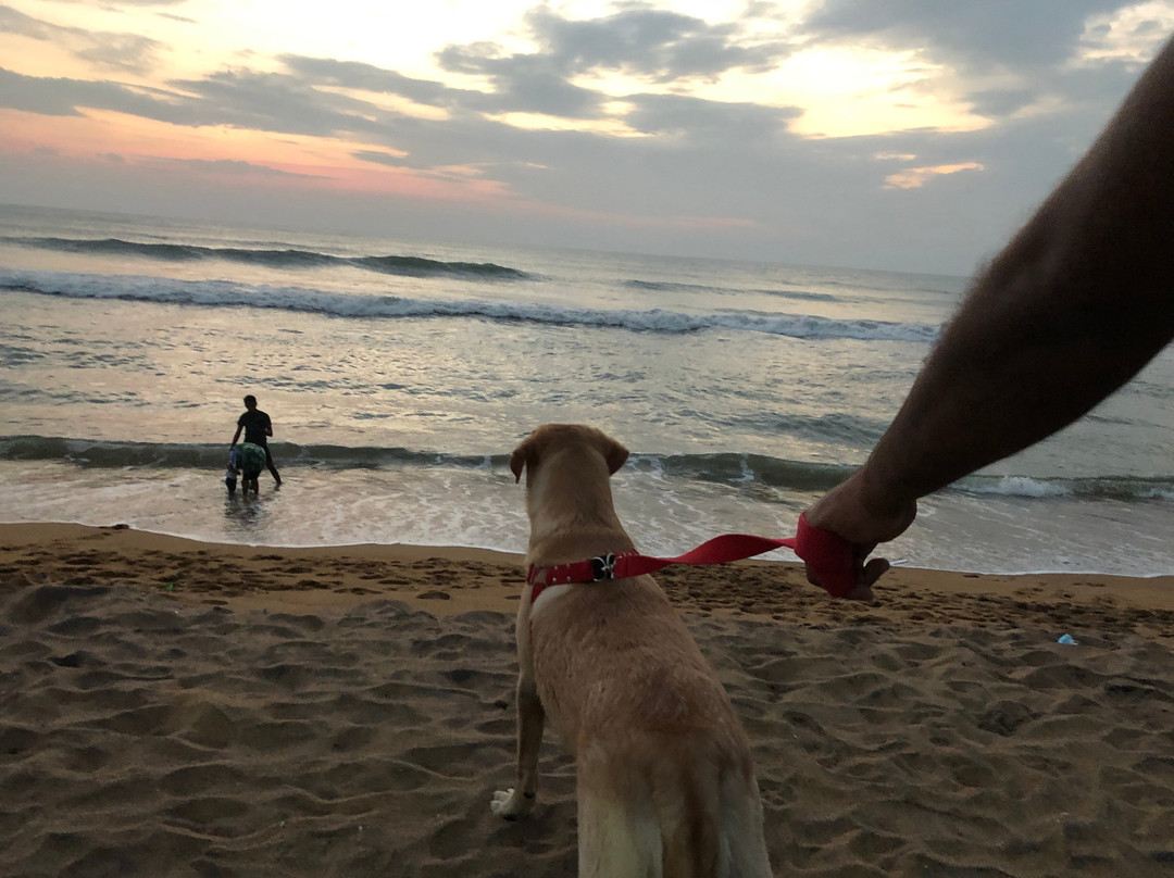 Club Waskaduwa Beach Resort & Spa主图