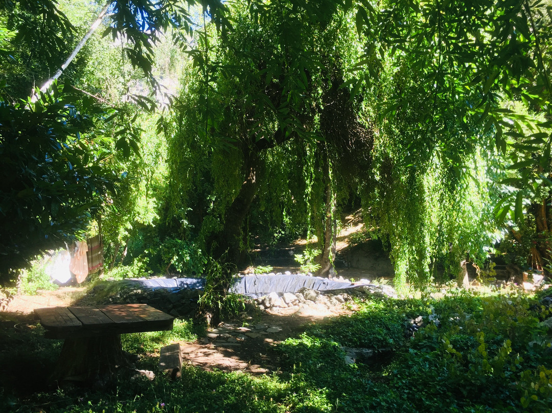 MERAKI REFUGIO & CAMPING