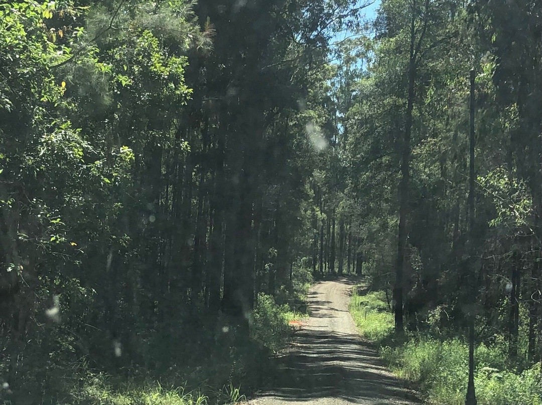 Old Bottlebutt-Wauchope必去景点