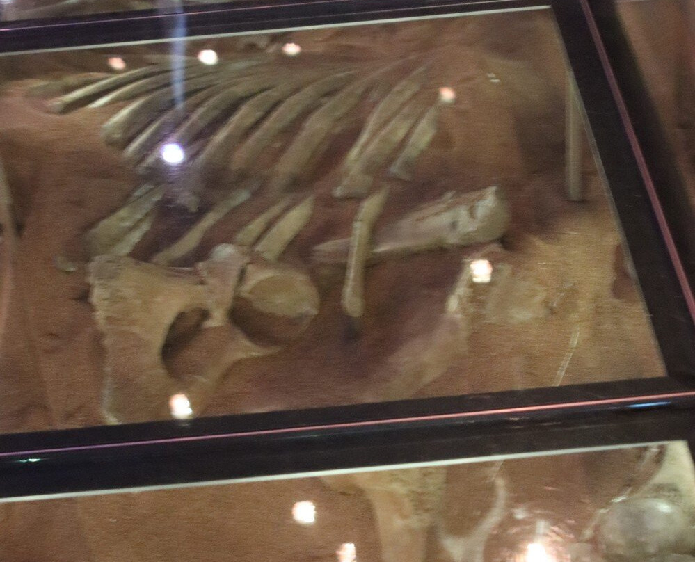 Western Science Center-赫米特必去景点