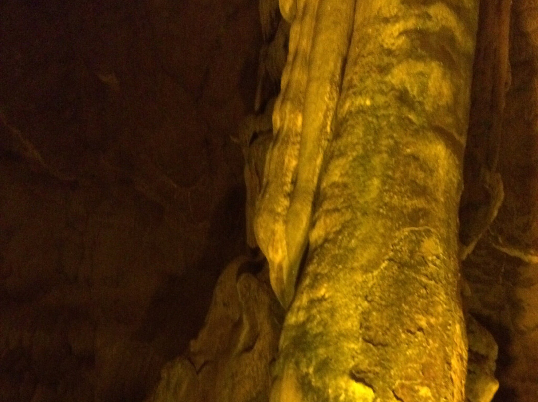 Tokat Mevlevihanesi景点图片