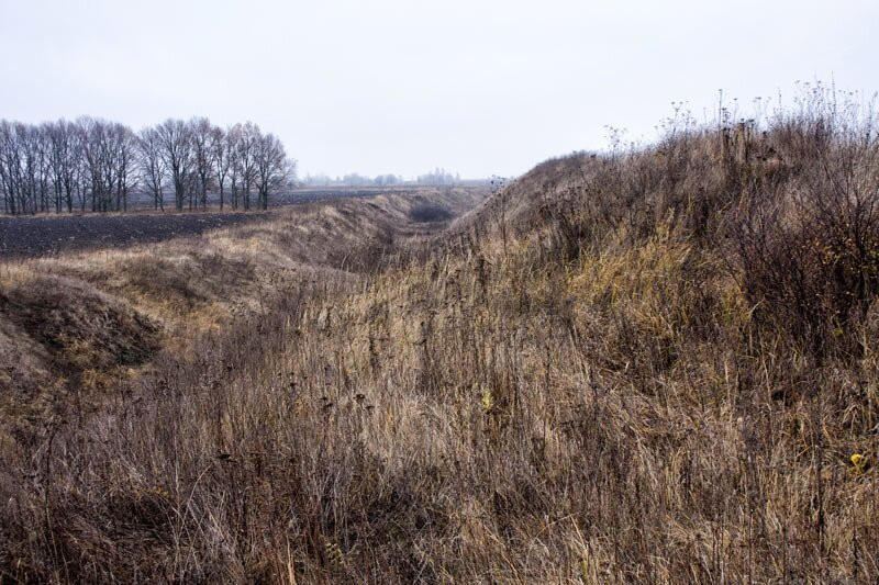 Hillfort Old Ryazan景点图片
