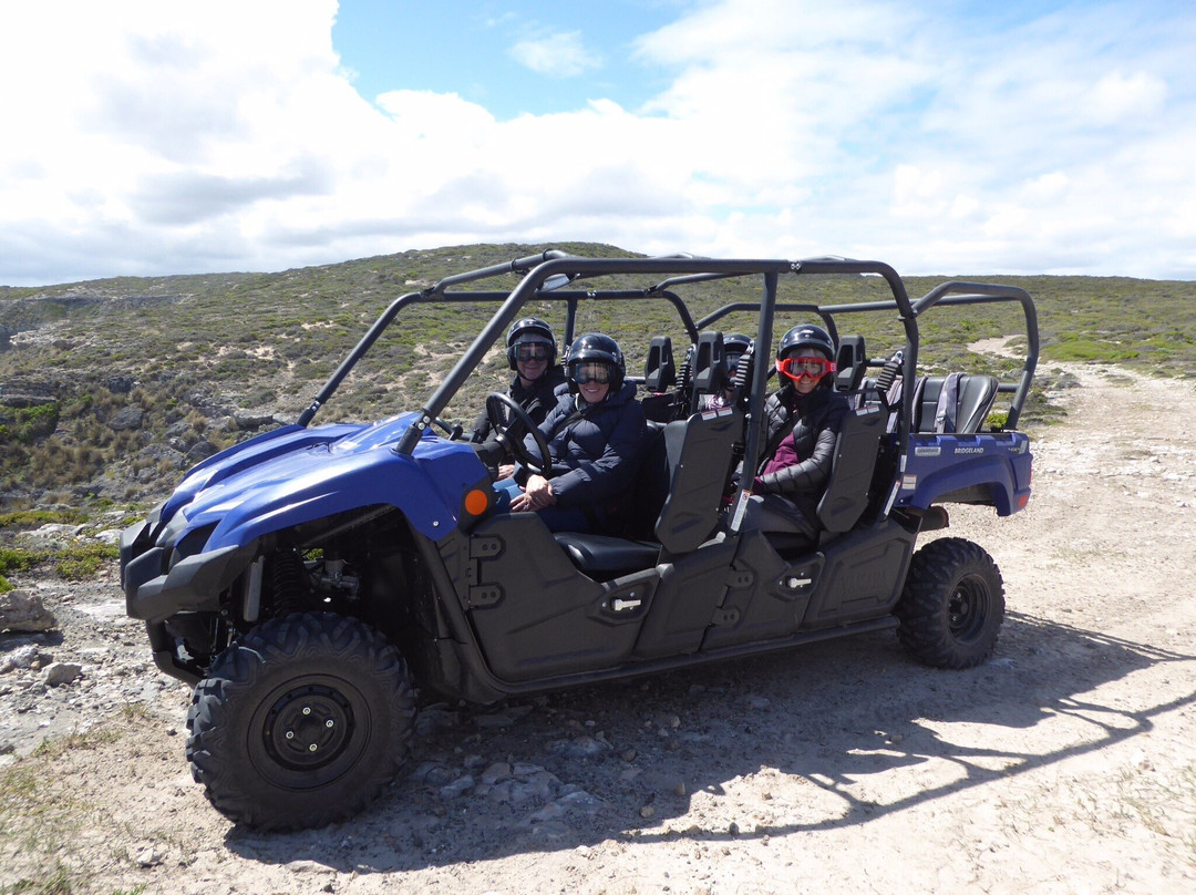 Little Sahara-袋鼠岛必去景点