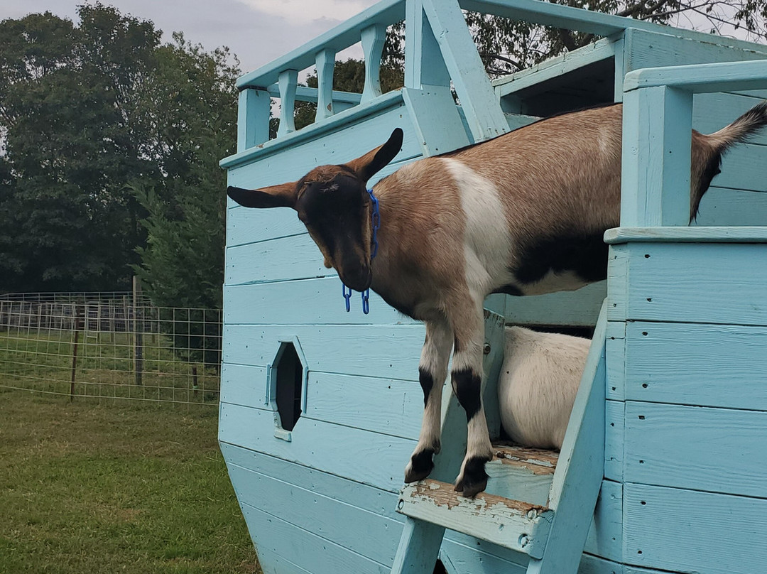 Catapano Dairy Farm景点图片