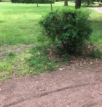 Stadtpark - mestský park-Zschopau必去景点
