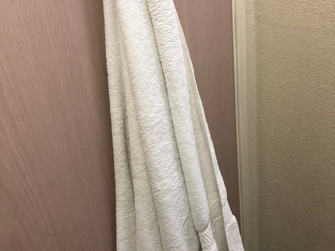 Comfort Inn & Suites主图