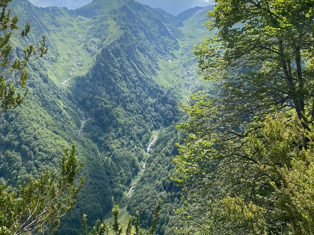 Auberge les Myrtilles主图