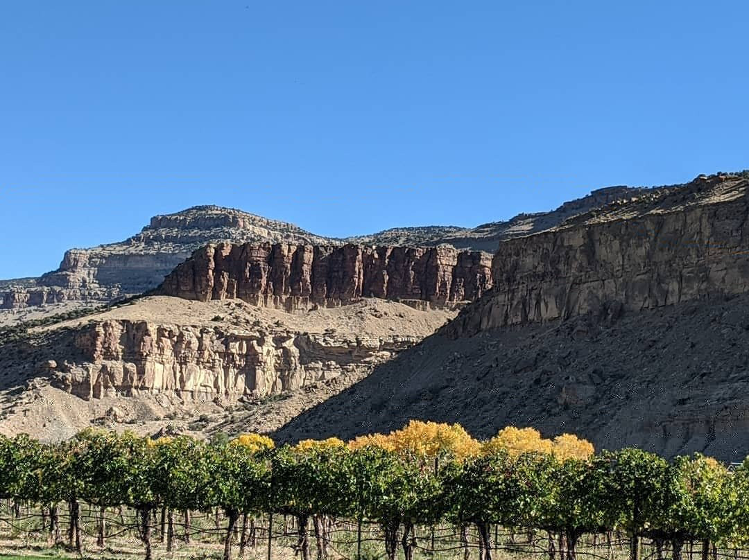 Colterris Wines-Palisade必去景点