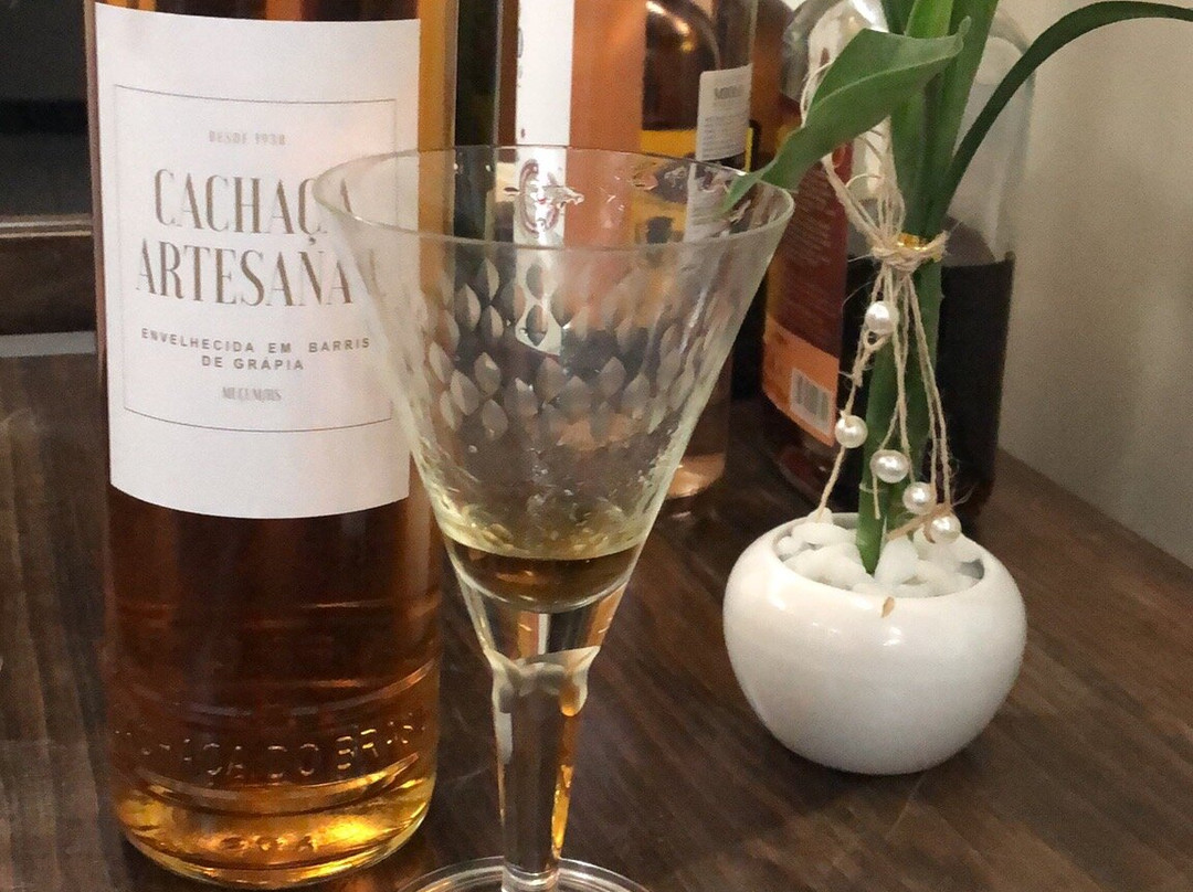 Ponte Rodoferroviária Brochado da Rocha-Mucum必去景点