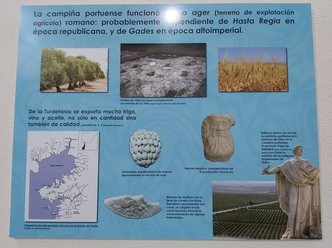 El Museo Arqueológico Municipal景点图片