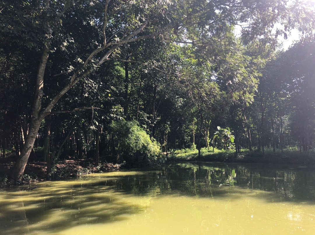Bamboo Grove - Chulapornwararam Temple景点图片