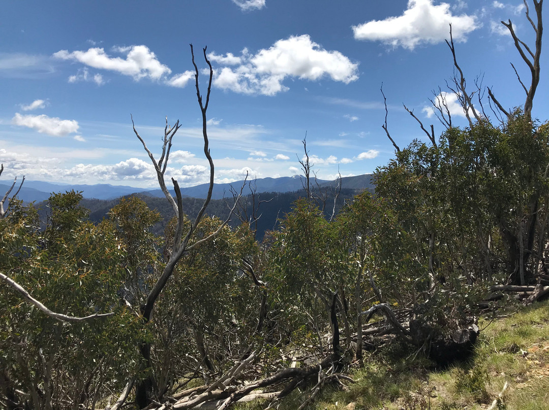 Dungey's Hollow-Hotham Heights必去景点