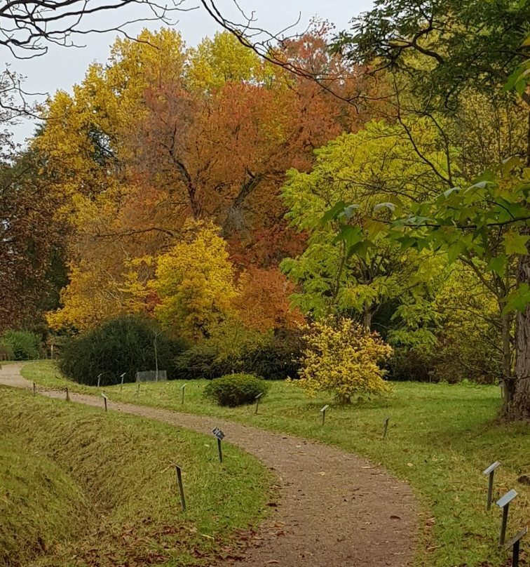 Arboretum Poortbulten-De Lutte必去景点