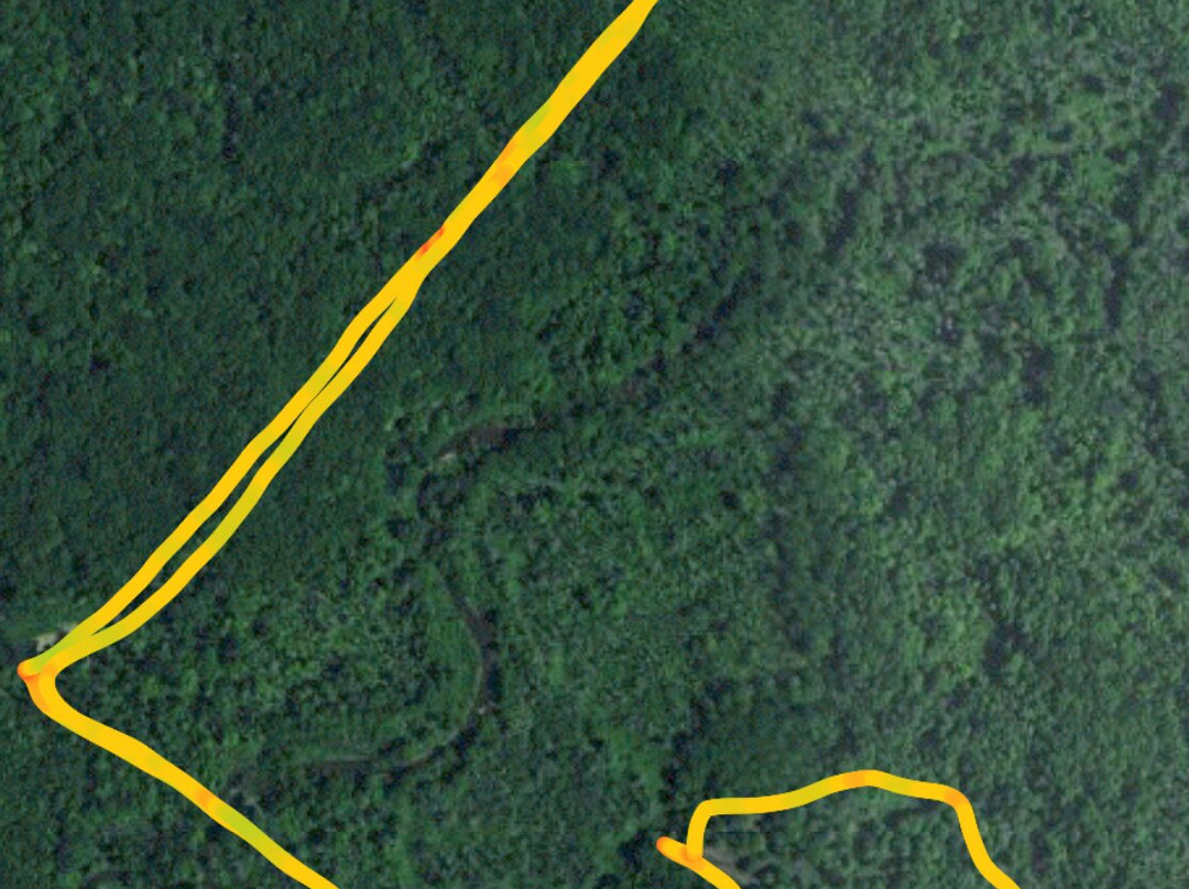 Newbury旅游景点-The Rookery