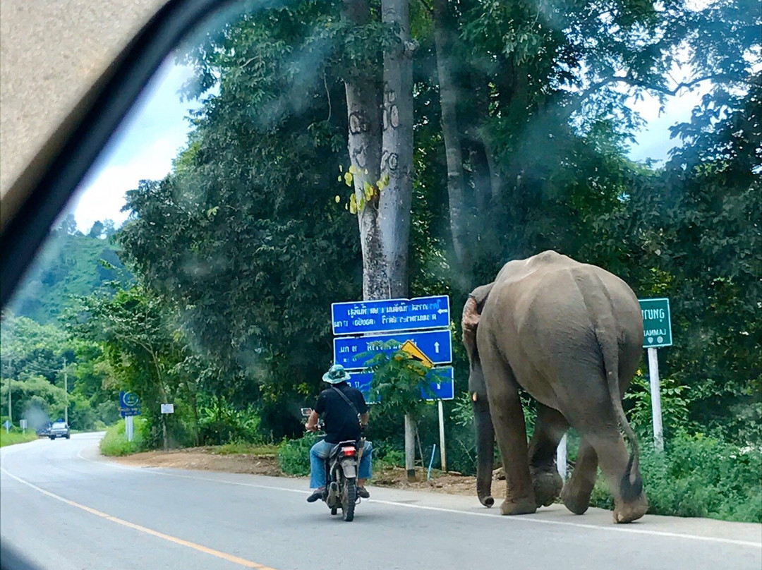 萨卡威度假酒店主图