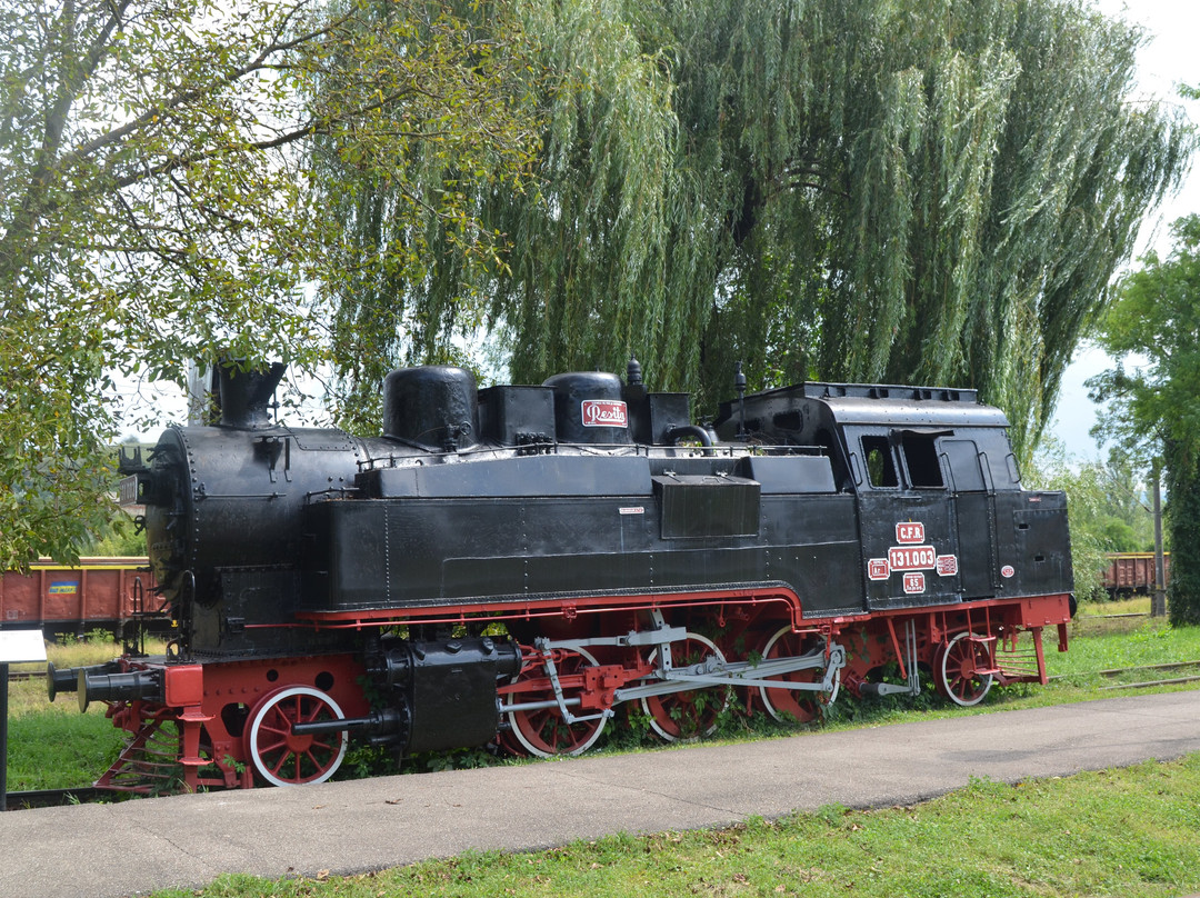 Muzeul de Locomotive (Steam Locomotive Museum)景点图片
