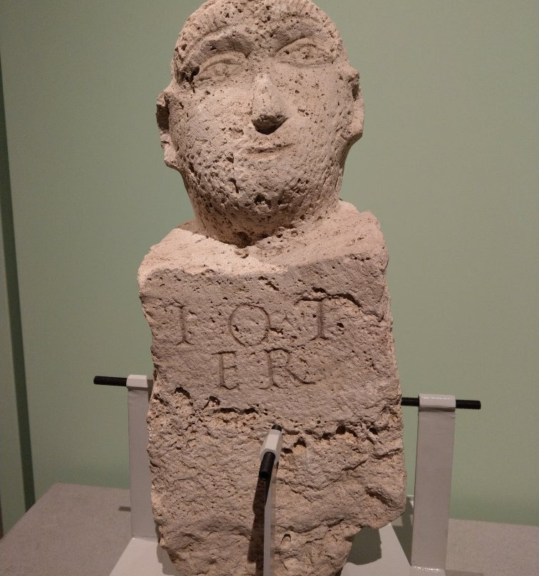 Museo Civico Archeologico e Pinacoteca Edilberto Rosa-Amelia必去景点