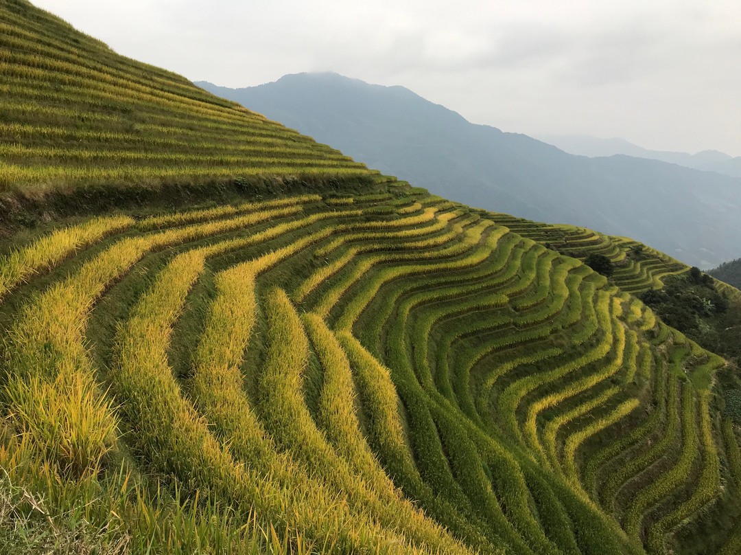 Ethnic minority’s villages travel by locals景点图片