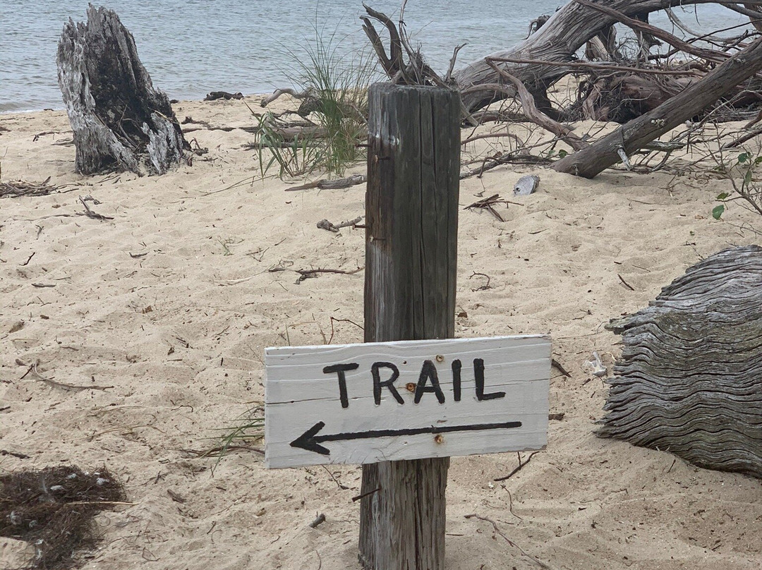 Springer's Point Preserve-Ocracoke必去景点