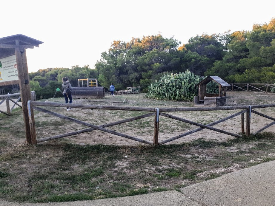 Parco Pineta Regina景点图片